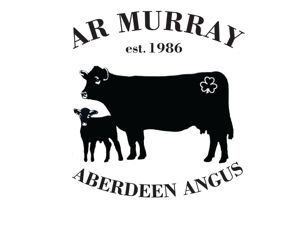 AR Murray Angus